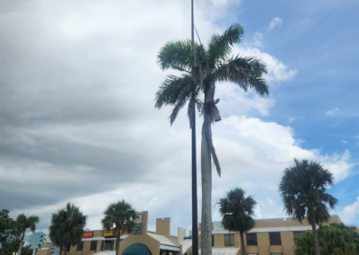 light fixture replacement at Royal Palm Square_Slack Electrical